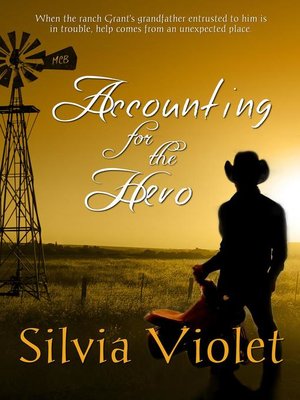 cover image of Accounting for the Hero